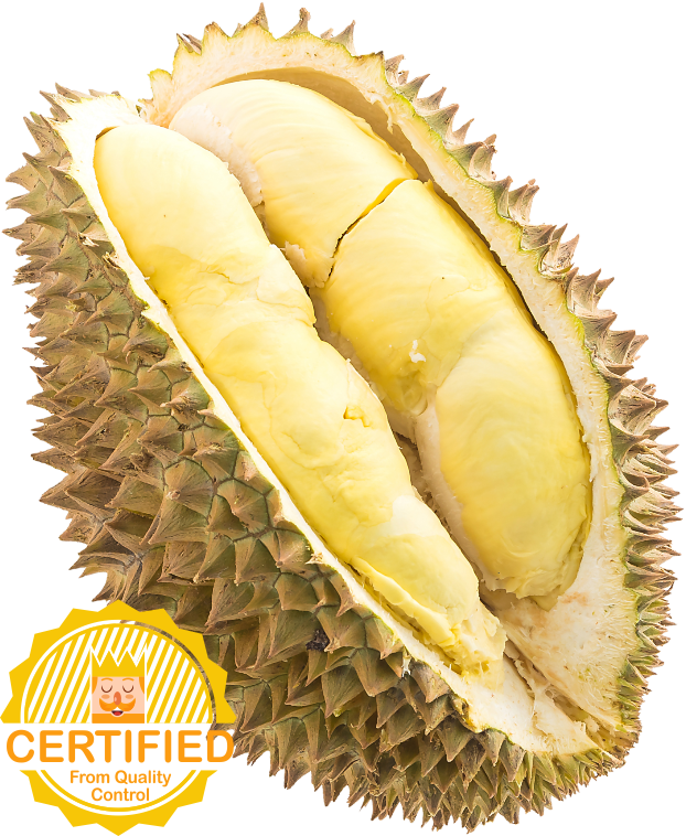 KYCertified Durian 190216